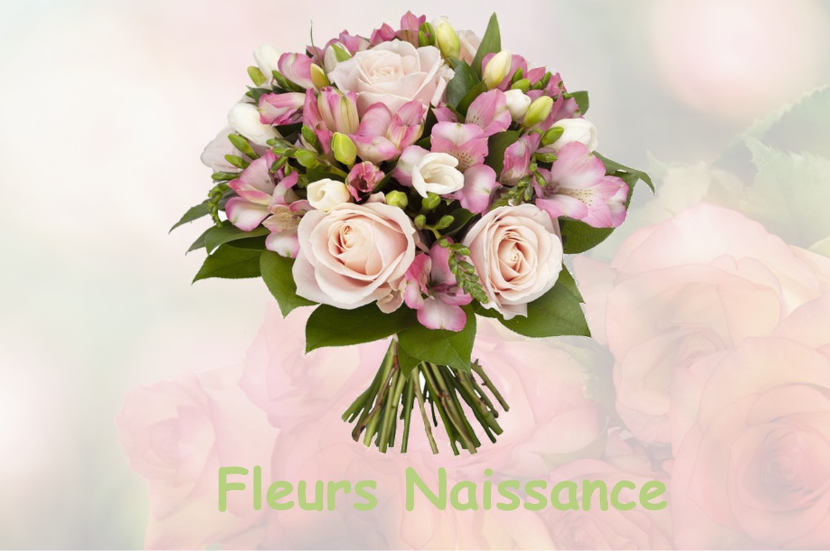 fleurs naissance LOUPPY-LE-CHATEAU