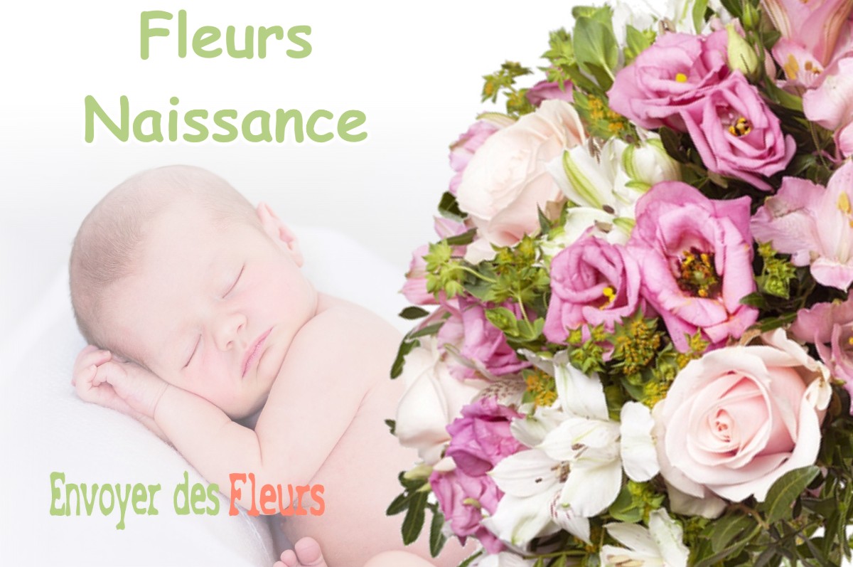 lIVRAISON FLEURS NAISSANCE à LOUPPY-LE-CHATEAU